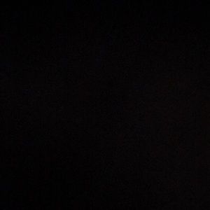 Meet your Posher, Damian